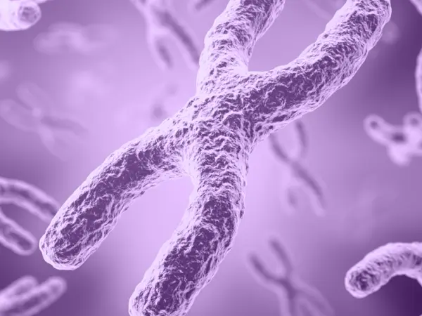 Chromosomal aberrations