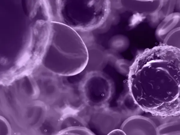 Checkpoint inhibitors