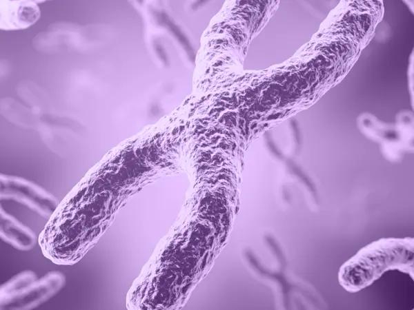 Chromosomal aberrations