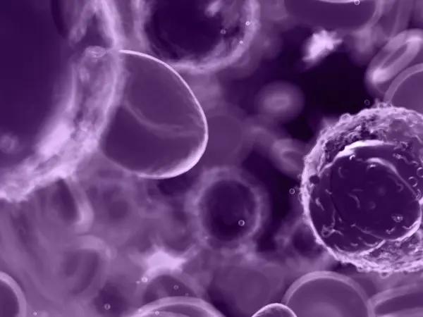 Checkpoint inhibitors